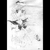 Sailor Venus